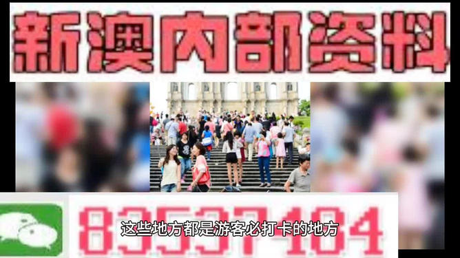 ＂新澳精准资料免费公开＂的：数据引导执行策略_动态版1.87