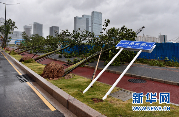 香港台风最新消息：天鸽来袭,香港台风最新消息，天鸽来袭——应对台风天全面步骤指南