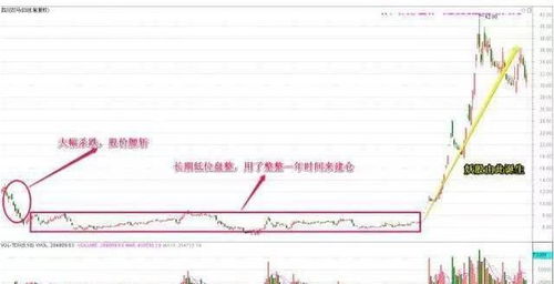股票出货与洗盘的区别解析