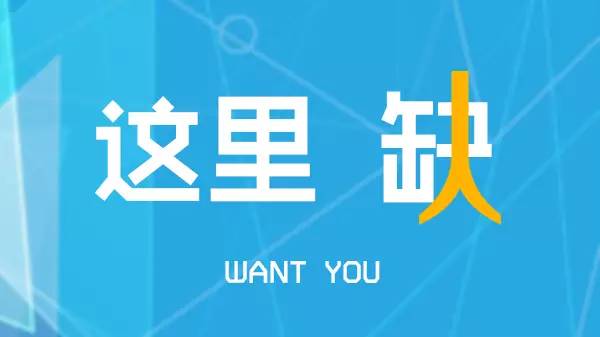 秦屿招聘信息更新背后的故事，情感纽带与日常生活的温馨之旅