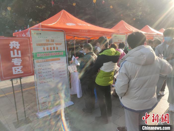 浙江舟山最新招聘信息全面概览