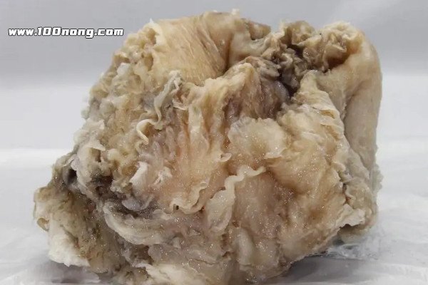 机械设备租赁 第175页