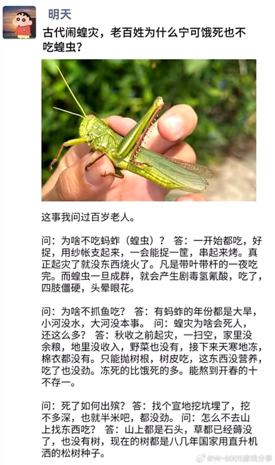 最新黄虫灾，成因、影响及防治策略全解析